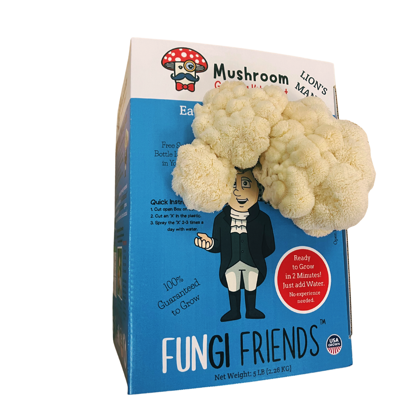 George Mushington - Lion's Mane Mushroom Grow Kit - 5 LBS (with box)