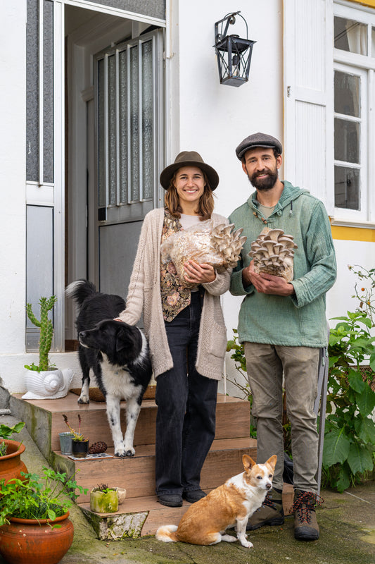 Happy man and woman holding oyster mushroom fruiting block grow kits inside their home. The oyster mushroom fruiting blocks have large premium oyster mushrooms growing out them.