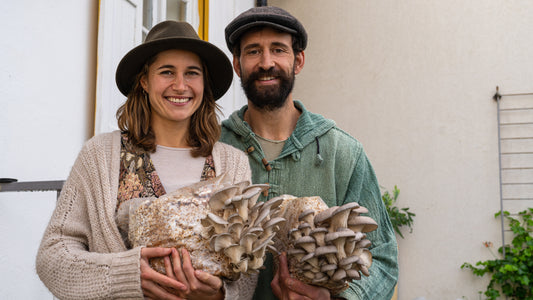 Happy man and woman holding oyster mushroom fruiting block grow kits inside their home. The oyster mushroom fruiting blocks have large oyster mushrooms growing out them.