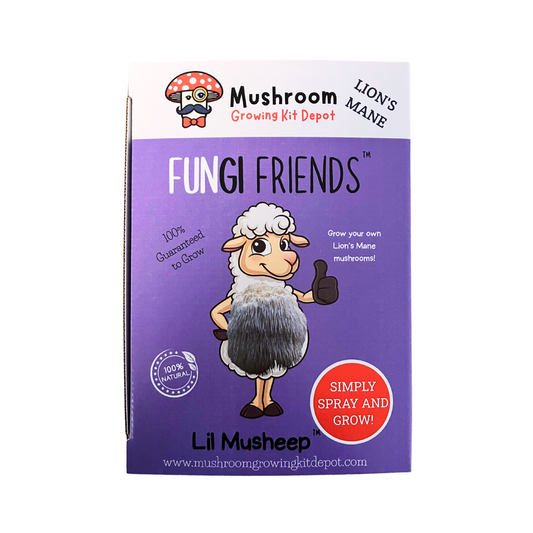 Lil Musheep - Lion's Mane Mushroom Grow Kit - 5 LBS (with box)