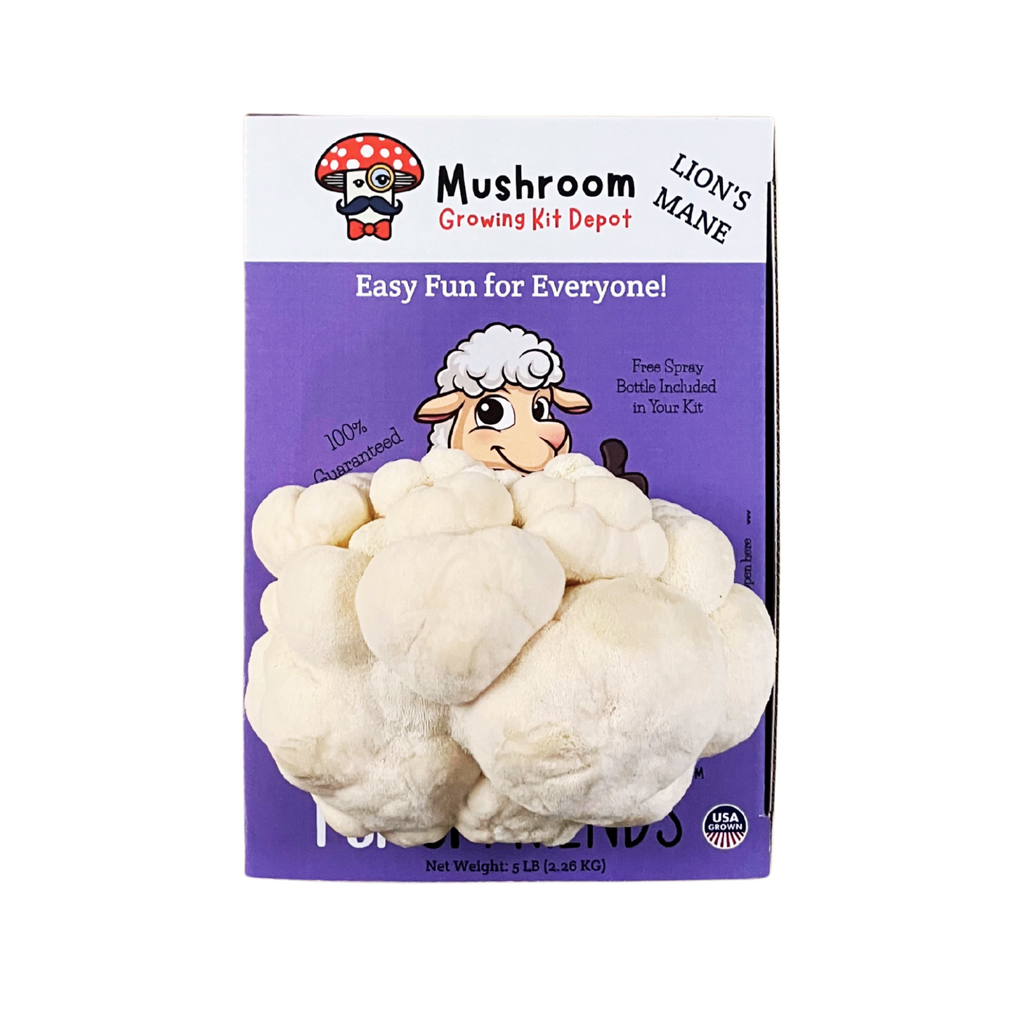 Lil Musheep - Lion's Mane Mushroom Grow Kit - 5 LBS (with box)