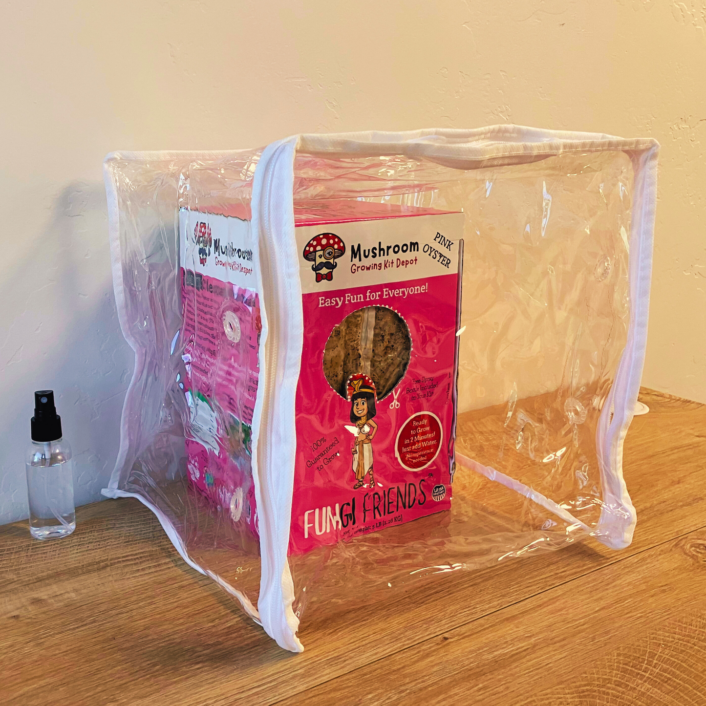 Cleopashrooma - Pink Oyster Mushroom Grow Kit - 5 LBS (with box)
