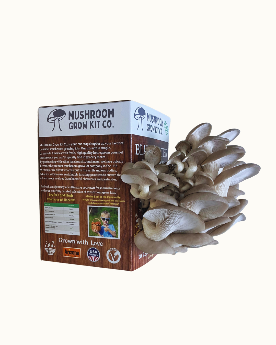 1.5 pounds of fresh blue oyster mushrooms growing at home from a Mushroom Grow Kit Co. mushroom grow kit