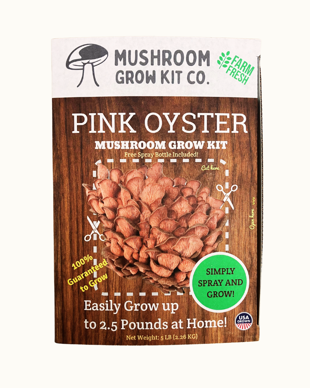 At home pink oyster mushroom growing kit from Mushroom Grow Kit Co. (back of box)