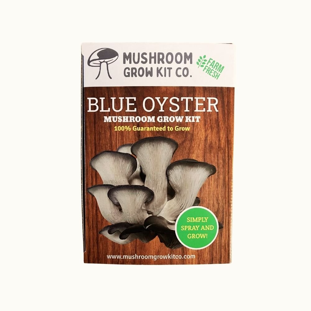 Mushroom grow kit packaging for blue oyster mushrooms on a white background. Simply spray and grow. Guaranteed to grow.