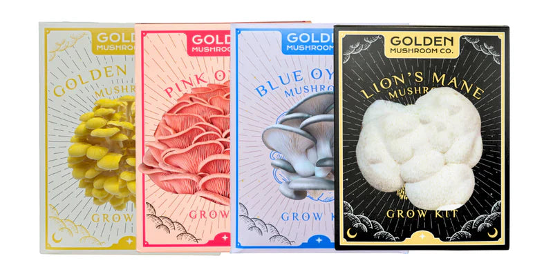 3 LBS Golden Mushroom Co. Grow Kits