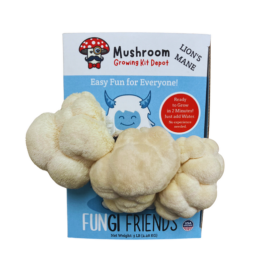 Betty the Yeti - Lion's Mane Mushroom Grow Kit - 5 LBS (with box)