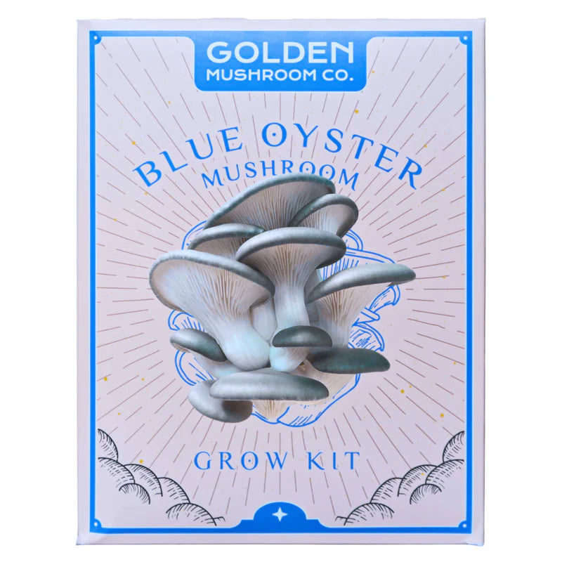 3 LBS mushroom grow kit from Golden Mushroom Co for growing blue oyster mushrooms at home. 