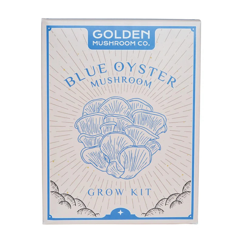 3 LBS mushroom grow kit from Golden Mushroom Co for growing blue oyster mushrooms at home. 