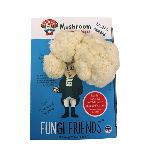 George Mushington - Lion's Mane Mushroom Grow Kit - 5 LBS (with box)