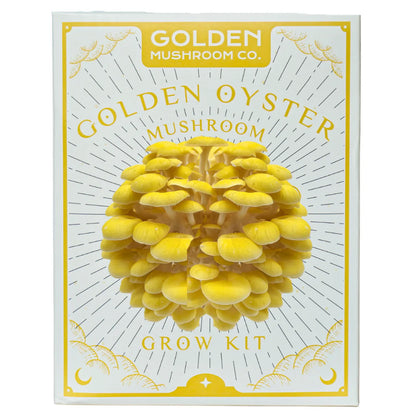 Golden Oyster Mushroom Grow Kit - 3 LBS