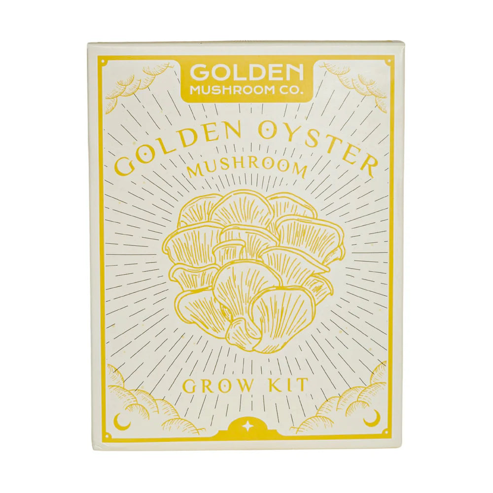 Golden Oyster Mushroom Grow Kit - 3 LBS