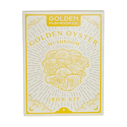 Golden Oyster Mushroom Grow Kit - 3 LBS