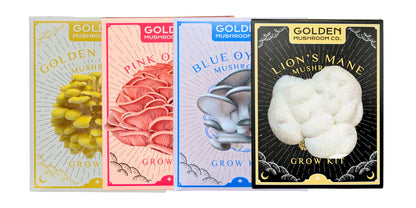 Golden Mushroom Co's 4-pack bundle of lion's mane, pink oyster, golden oyster, and blue oyster mushroom grow kits.