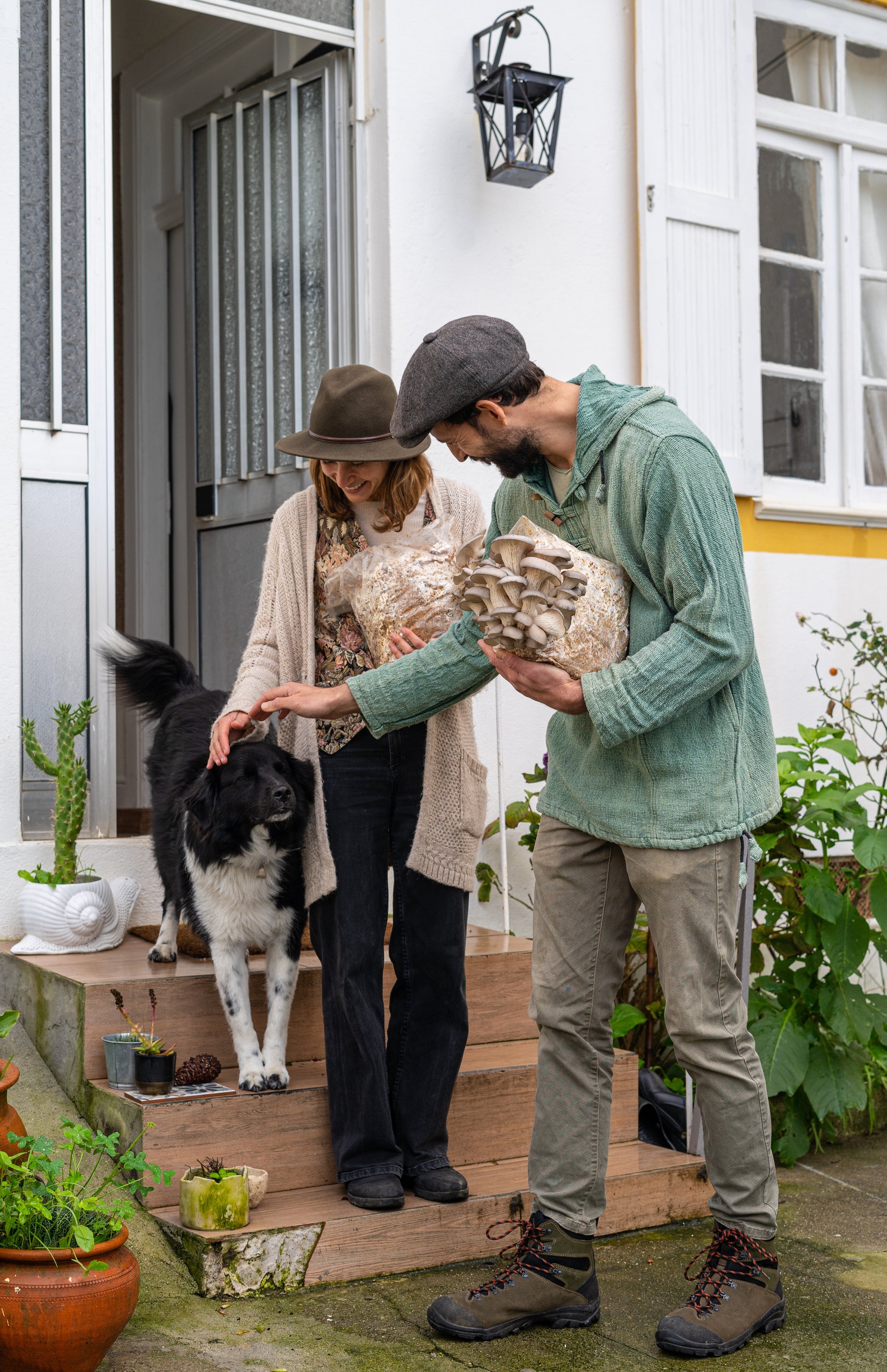 Happy man and woman holding oyster mushroom fruiting block grow kits at home while petting the dog. The oyster mushroom fruiting blocks have large premium oyster mushrooms growing out them. 