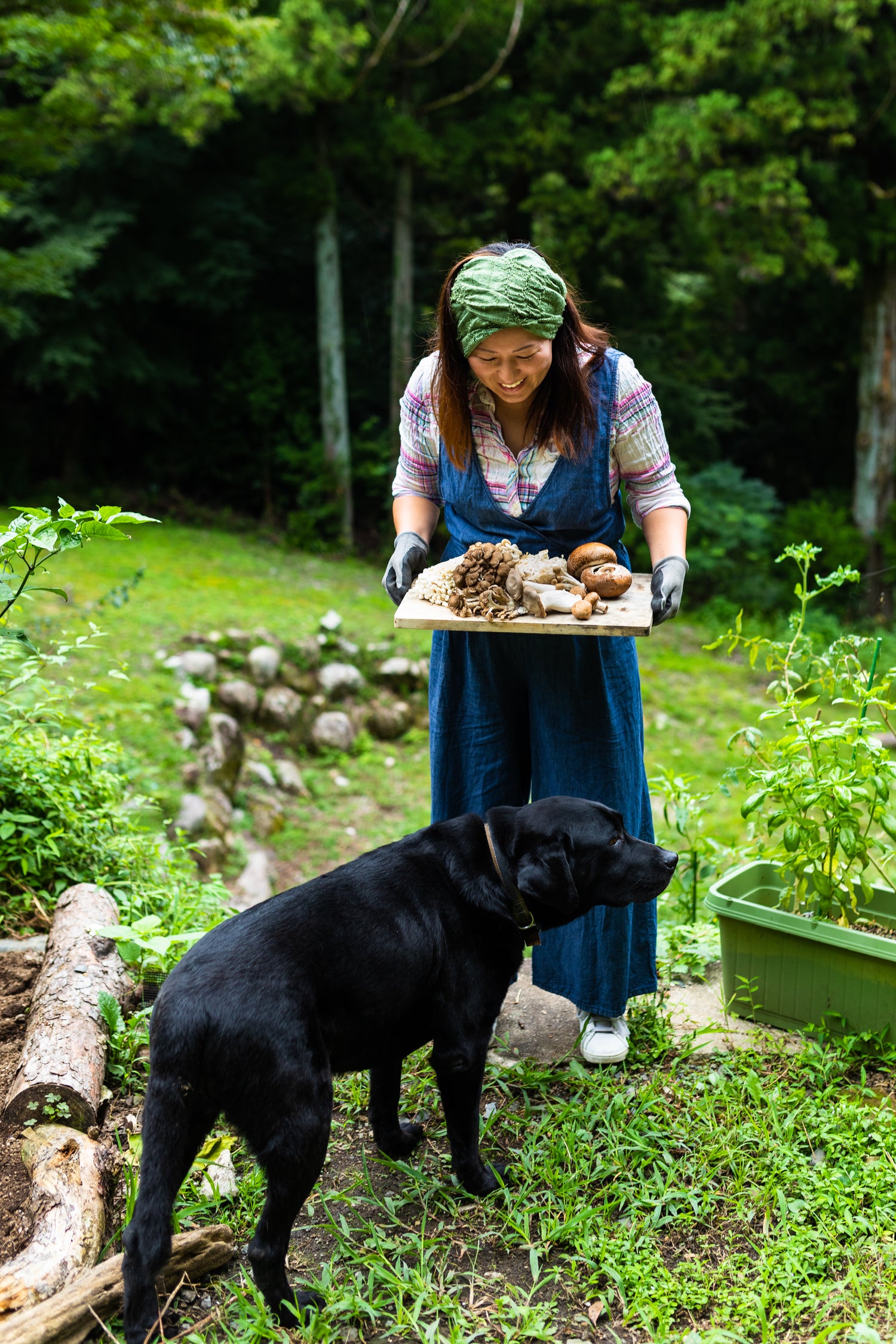 Happy woman at home with a fresh harvest of gourmet mushrooms ready to cook with her dog. 
