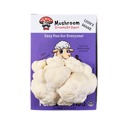 Lil Musheep - Lion's Mane Mushroom Grow Kit - 5 LBS (with box)