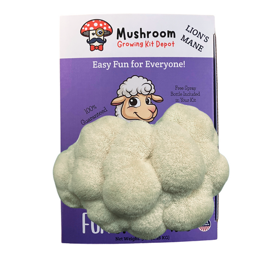 Lil Musheep - Lion's Mane Mushroom Grow Kit - 5 LBS (with box)