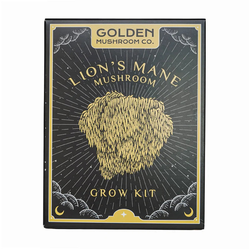 3 LBS mushroom grow kit from Golden Mushroom Co for growing lion's mane mushrooms at home. 