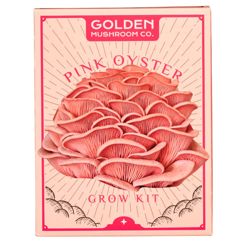 3 LBS mushroom grow kit from Golden Mushroom Co for growing pink oyster mushrooms at home. 