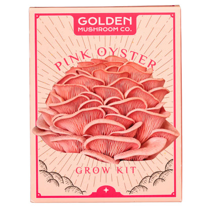 3 LBS mushroom grow kit from Golden Mushroom Co for growing pink oyster mushrooms at home. 