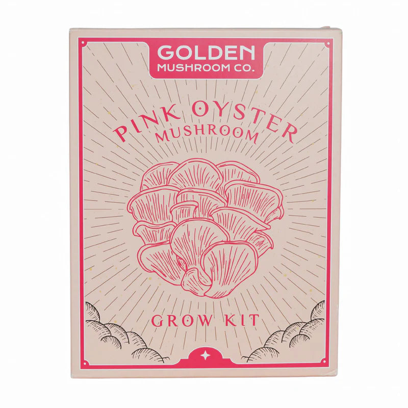 3 LBS mushroom grow kit from Golden Mushroom Co for growing pink oyster mushrooms at home. 