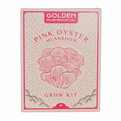 3 LBS mushroom grow kit from Golden Mushroom Co for growing pink oyster mushrooms at home. 