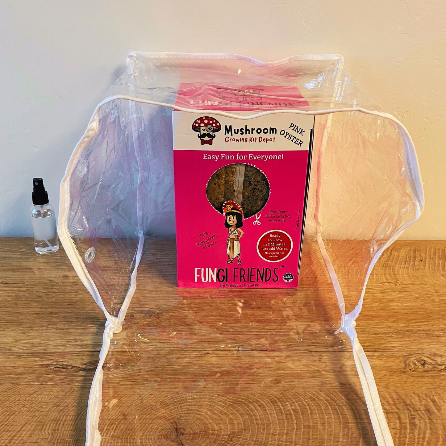 Cleopashrooma - Pink Oyster Mushroom Grow Kit - 5 LBS (with box)