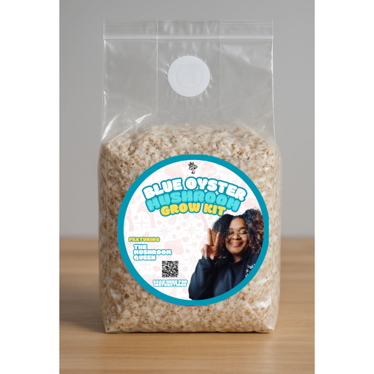 Blue Oyster Mushroom Grow Kit - The Mushroom Queen