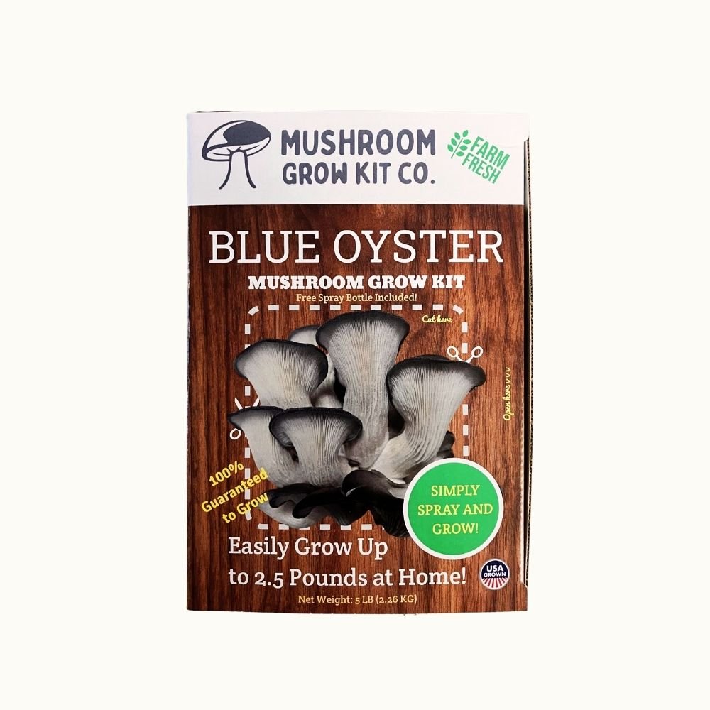 Blue oyster mushroom grow kit packaging from Mushroom Grow Kit Co. front of box. Grow up to three pounds of fresh mushrooms.