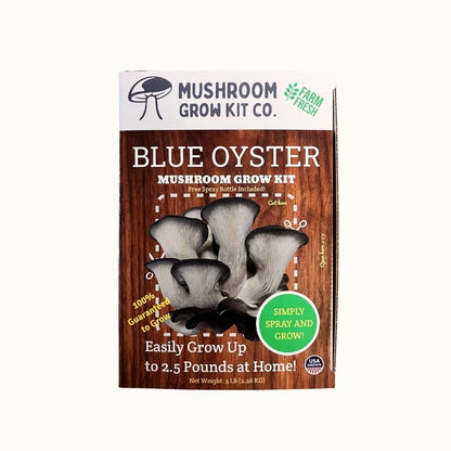 Blue oyster mushroom grow kit packaging from Mushroom Grow Kit Co. front of box. Grow up to three pounds of fresh mushrooms.