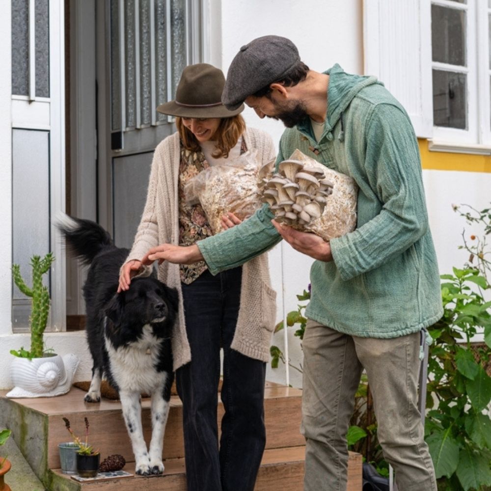 Happy man and woman holding oyster mushroom cultivation kit in front of home petting the dog. Blue oyster mushrooms growing.