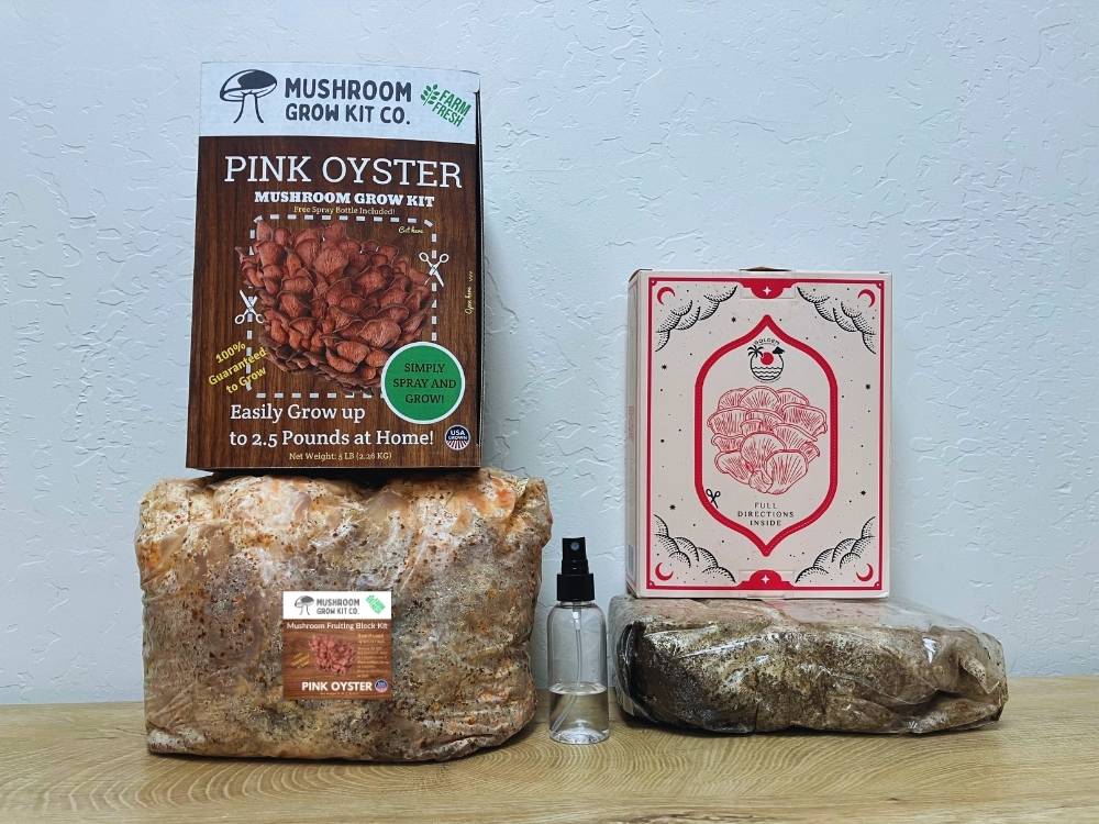 A large five pound mushroom grow kit from Mushroom Grow Kit Co. next to a small three pound grow kit from Golden Mushroom Co.