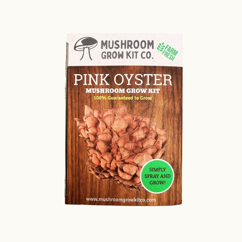 Mushroom grow kit packaging for pink oyster mushrooms on a white background. Simply spray and grow. Guaranteed to grow.