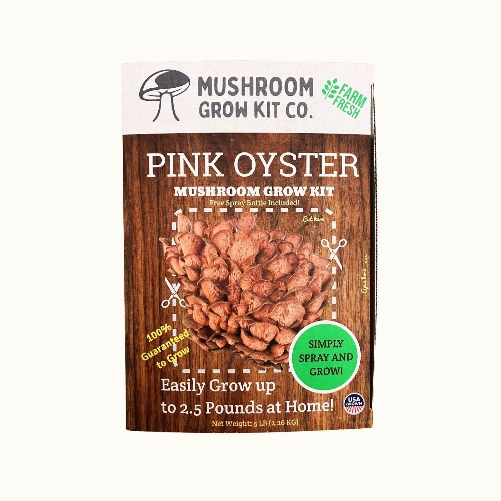 Pink oyster mushroom grow kit packaging from Mushroom Grow Kit Co. front of box. Grow up to three pounds of fresh mushrooms.