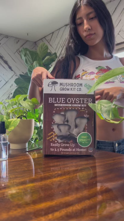 3 Pack - Lion's Mane, Pink, and Blue Oyster Mushroom Growing Kit - 15 LBS