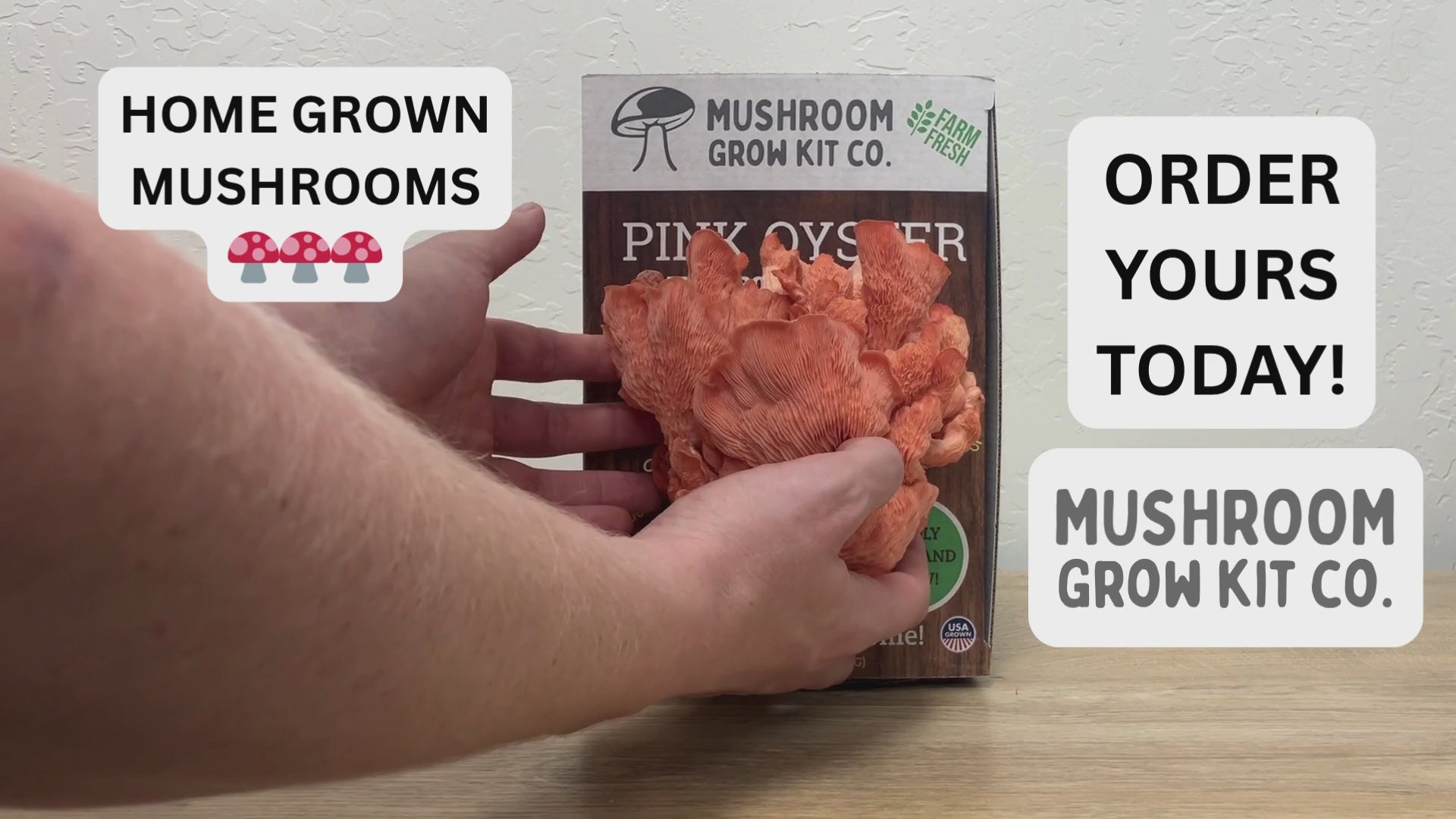 Step by step instructions showing how to use a spray and grow mushroom growing kit for beginners from Mushroom Grow Kit Co. 