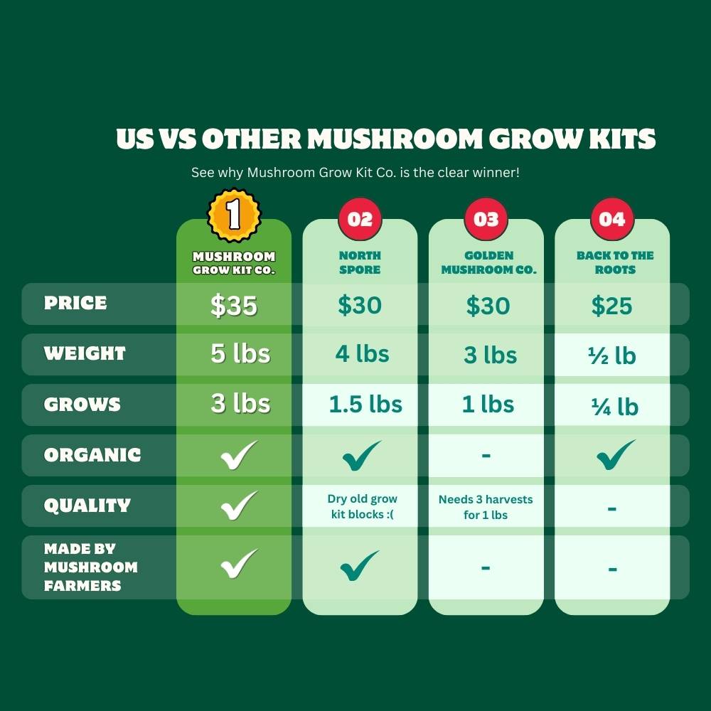 Comparison chart of at home mushroom grow kits with Mushroom Grow Kit Co. as the clear winner and best value for your money. 

1. Mushroom Grow Kit Co.  - $35, 5lbs, grows up to 3lbs of fresh mushrooms, organic, made by mushroom farmers, high quality mycelium grow kit blocks. 
2. North Spore - $30, 4lbs, grows up to 1.5lbs of fresh mushrooms, organic, dry old mycelium grow kit blocks :(
3. Golden Mushroom Co. - $30, 3lbs, grows 1lbs 
4. Back to the Roots - $25, 1/2lb, grows 1/4lb of fresh mushrooms, organic